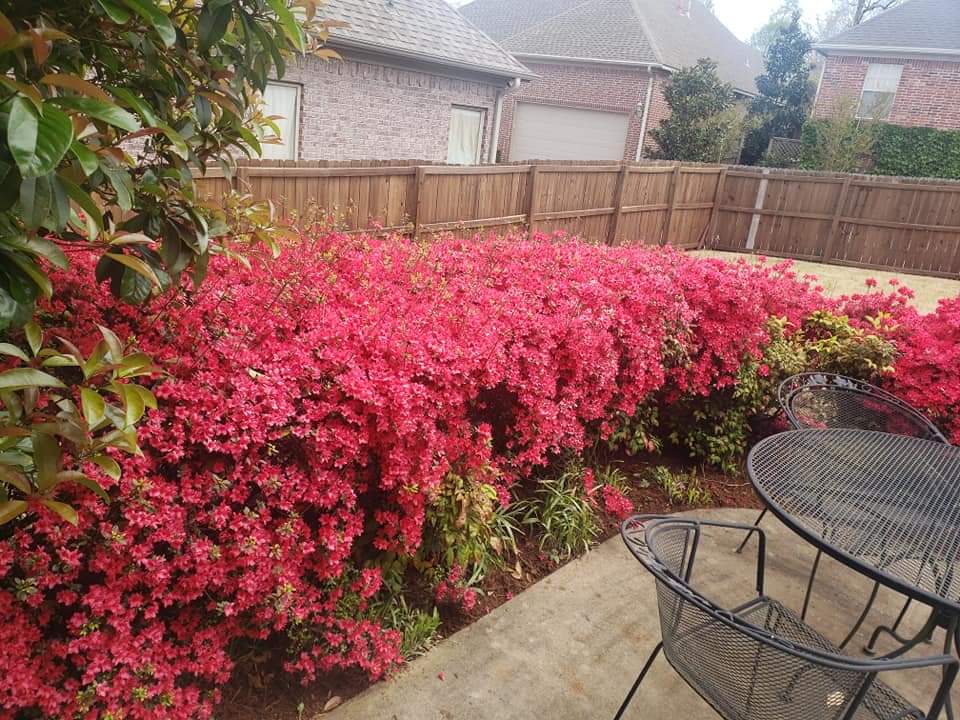 Victors Lawn and landscaping Image